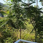 Redsun * Vlorë